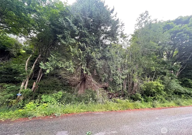 Photo 3 of Land for sale at 14544 Jura Way, Anacortes, WA 98221 | MLS# NWM2539015 | Listing updated on 2026-09-22