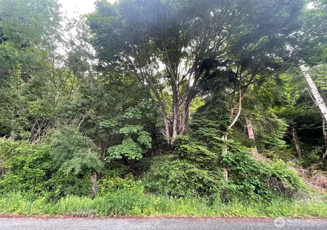 Photo 4 of Land for sale at 14544 Jura Way, Anacortes, WA 98221 | MLS# NWM2539015 | Listing updated on 2026-09-22