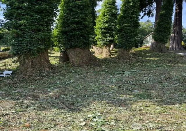 Photo 3 of Land for sale at 690 X Olive Ave, Stanwood, WA 98292 | MLS# NWM2539017 | Listing updated on 2026-09-22