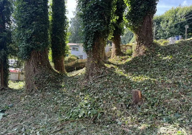 Photo 4 of Land for sale at 690 X Olive Ave, Stanwood, WA 98292 | MLS# NWM2539017 | Listing updated on 2026-09-22