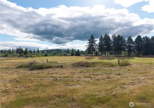 Photo 3 of Land for sale at 14711 State Route 510 SE, Yelm, WA 98597 | MLS# NWM2539019 | Listing updated on 2026-10-01
