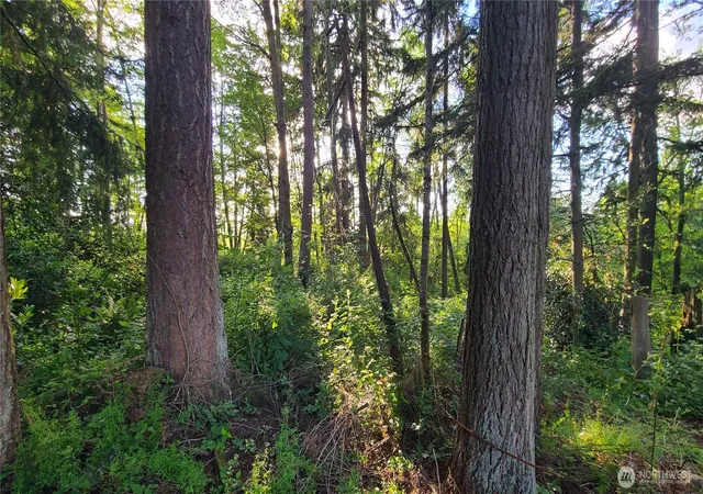 Land for sale at 9717 254th Street E, Graham, WA 98338 | MLS# NWM2539040