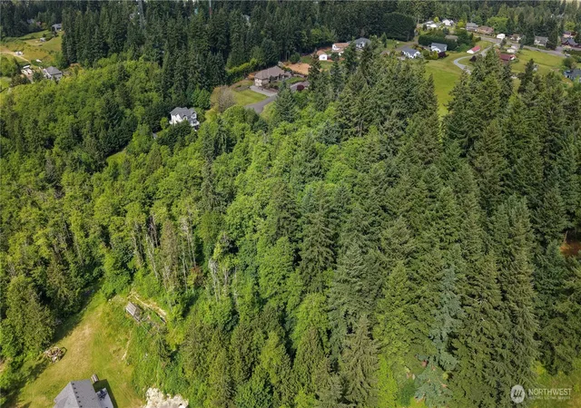 Photo 3 of Land for sale at 9717 254th Street E, Graham, WA 98338 | MLS# NWM2539040 | Listing updated on 2026-09-22