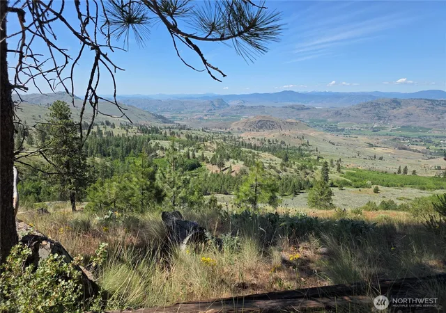 Photo 2 of Land for sale at 431 J Swanson Hl Rd, Tonasket, WA 98855 | MLS# NWM2539049 | Listing updated on 2026-09-22