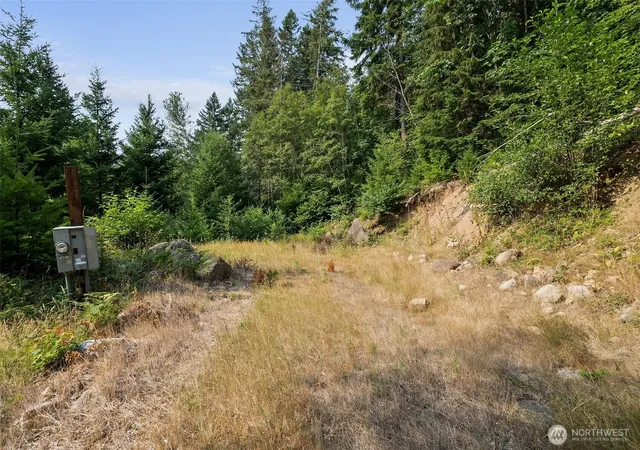 Photo 4 of Land for sale at 133 A Hinkle Tinkle, Packwood, WA 98361 | MLS# NWM2539161 | Listing updated on 2026-09-22