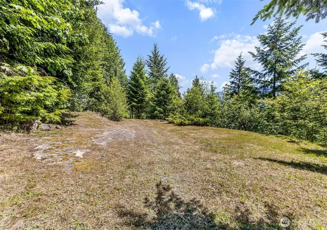 Photo 3 of Land for sale at 133 A Hinkle Tinkle, Packwood, WA 98361 | MLS# NWM2539161 | Listing updated on 2026-09-22