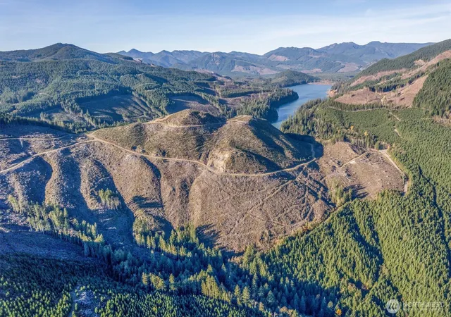 Photo 1 of Sale Pending at (Undisclosed), Cougar, WA 98616 | MLS# NWM2539170 | Listing updated on 2026-09-25