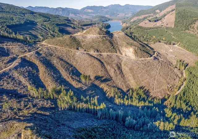 Photo 2 of Sale Pending at (Undisclosed), Cougar, WA 98616 | MLS# NWM2539170 | Listing updated on 2026-09-25