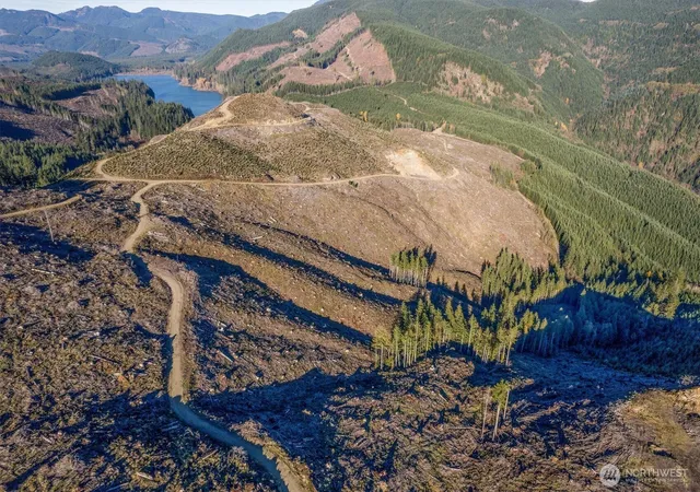 Photo 3 of Sale Pending at (Undisclosed), Cougar, WA 98616 | MLS# NWM2539170 | Listing updated on 2026-09-25