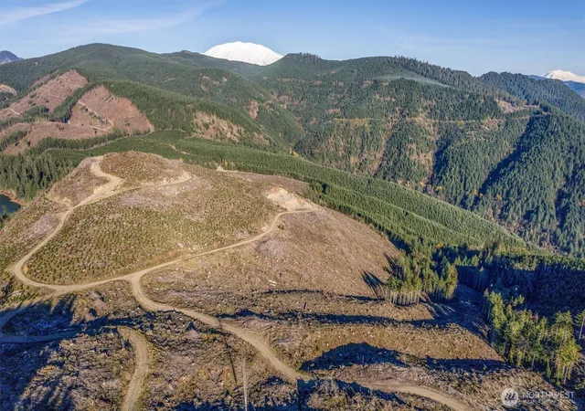 Photo 3 of Sale Pending at (Undisclosed), Cougar, WA 98616 | MLS# NWM2539170 | Listing updated on 2026-09-25