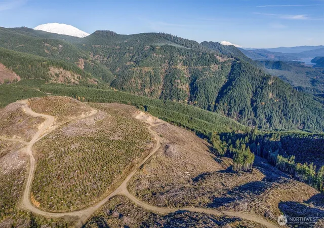 Photo 4 of Sale Pending at (Undisclosed), Cougar, WA 98616 | MLS# NWM2539170 | Listing updated on 2026-09-25