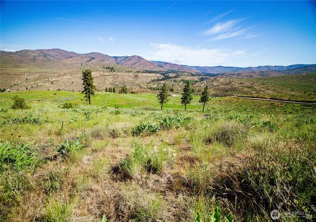 Photo 3 of Land for sale at 0 Sawtooth View Rd, Pateros, WA 98846 | MLS# NWM2539430 | Listing updated on 2026-09-22