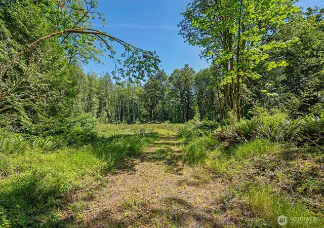 Photo 1 of Land for sale at 4635 Forest View Ln Se, Port Orchard, WA 98366 | MLS# NWM2539600 | Listing updated on 2026-09-22