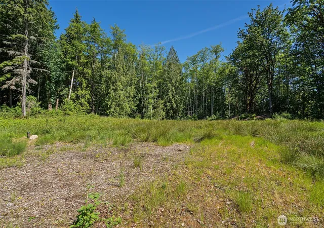 Photo 2 of Land for sale at 4635 Forest View Ln Se, Port Orchard, WA 98366 | MLS# NWM2539600 | Listing updated on 2026-09-22