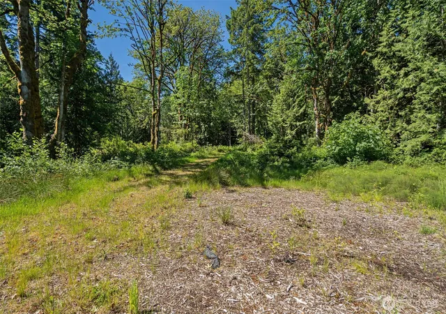 Photo 3 of Land for sale at 4635 Forest View Ln Se, Port Orchard, WA 98366 | MLS# NWM2539600 | Listing updated on 2026-09-22