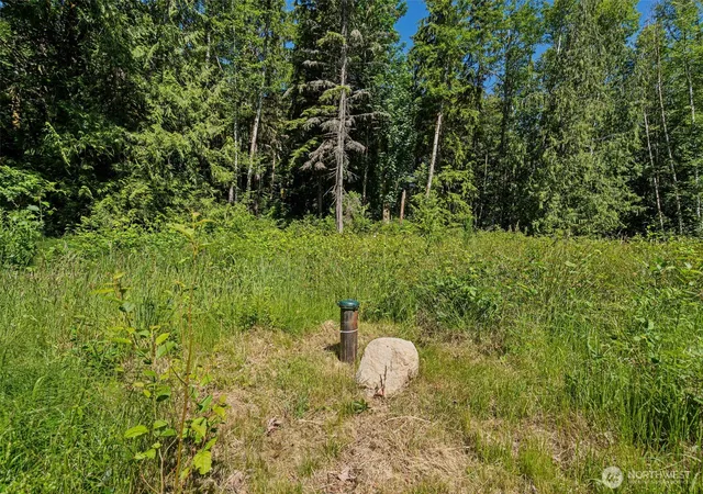 Photo 3 of Land for sale at 4635 Forest View Ln SE, Port Orchard, WA 98366 | MLS# NWM2539600 | Listing updated on 2026-09-22