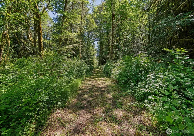 Photo 4 of Land for sale at 4635 Forest View Ln SE, Port Orchard, WA 98366 | MLS# NWM2539600 | Listing updated on 2026-09-22