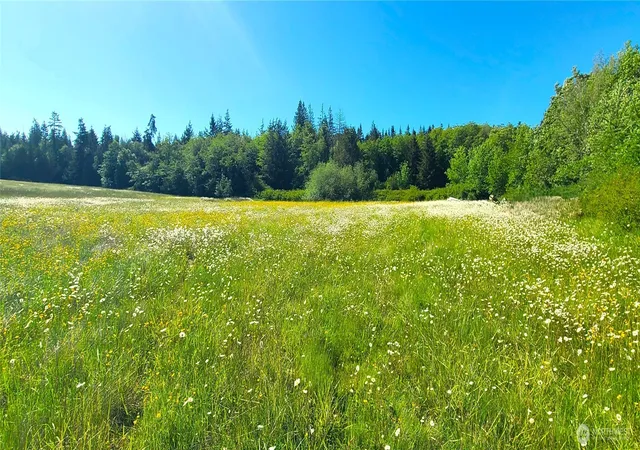 Photo 3 of Land for sale at 9999 Speedway Dr, Port Angeles, WA 98362 | MLS# NWM2539653 | Listing updated on 2026-09-22
