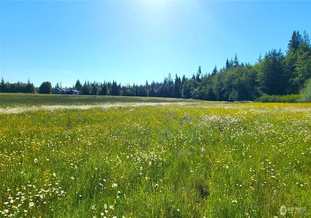Photo 4 of Land for sale at 9999 Speedway Dr, Port Angeles, WA 98362 | MLS# NWM2539653 | Listing updated on 2026-09-22