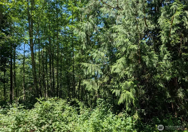 Photo 1 of Land for sale at 21646 Snowden Dr, Mount Vernon, WA 98274 | MLS# NWM2539664 | Listing updated on 2026-09-22