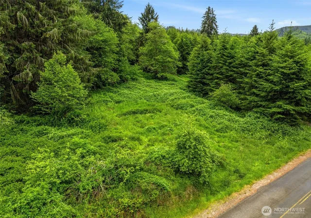 Photo 1 of Sale Pending at 0 E Valley Rd, Skamokawa, WA 98647 | MLS# NWM2539770 | Listing updated on 2026-09-25
