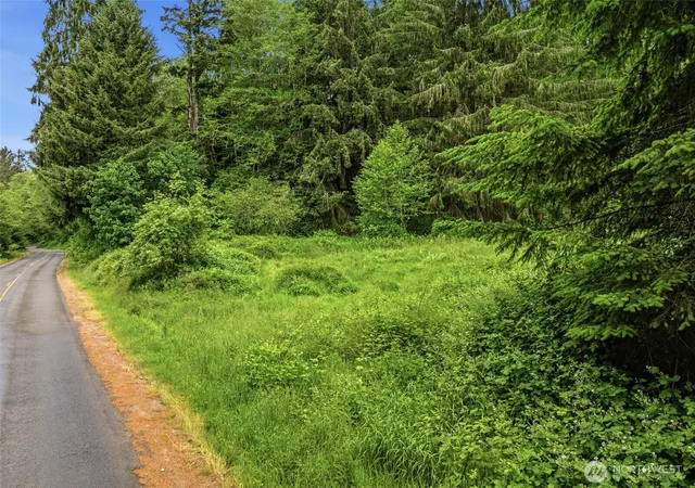 Photo 2 of Sale Pending at 0 E Valley Rd, Skamokawa, WA 98647 | MLS# NWM2539770 | Listing updated on 2026-09-25