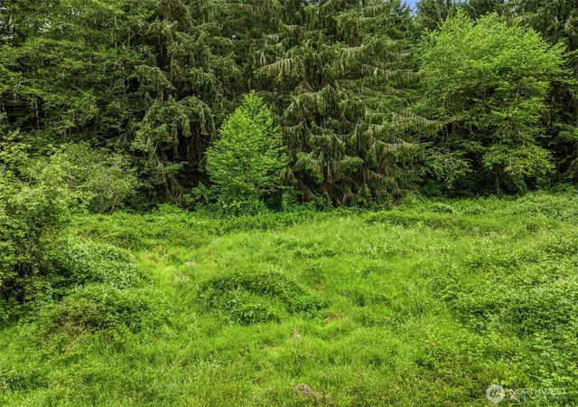 Photo 3 of Sale Pending at 0 E Valley Rd, Skamokawa, WA 98647 | MLS# NWM2539770 | Listing updated on 2026-09-25