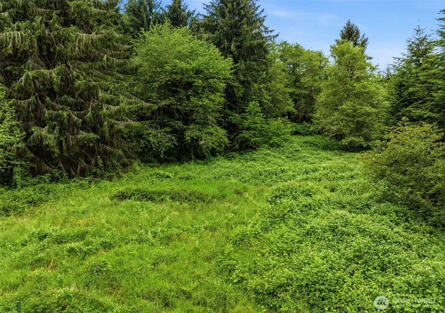 Photo 3 of Sale Pending at 0 E Valley Rd, Skamokawa, WA 98647 | MLS# NWM2539770 | Listing updated on 2026-09-25
