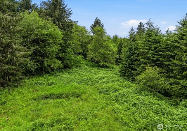 Photo 4 of Sale Pending at 0 E Valley Rd, Skamokawa, WA 98647 | MLS# NWM2539770 | Listing updated on 2026-09-25
