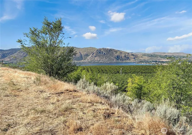 Photo 3 of Land for sale at 16 Columbia View Dr, Brewster, WA 98812 | MLS# NWM2539802 | Listing updated on 2026-09-22