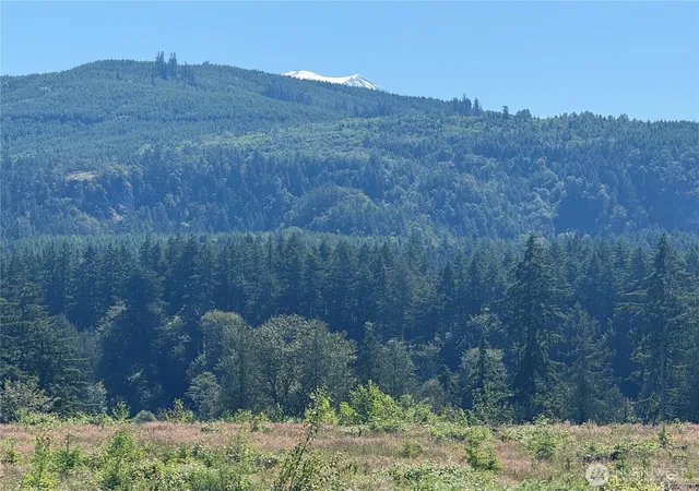 Photo 1 of Land for sale at 0 114th Avenue Ct E, Eatonville, WA 98328 | MLS# NWM2539899 | Listing updated on 2026-09-22