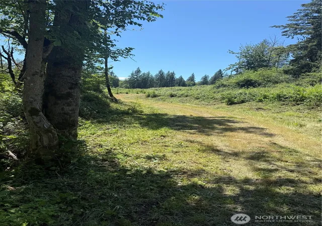 Photo 3 of Land for sale at 0 114th Avenue Ct E, Eatonville, WA 98328 | MLS# NWM2539899 | Listing updated on 2026-09-22