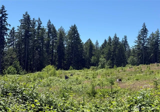 Photo 3 of Land for sale at 0 114th Avenue Ct E, Eatonville, WA 98328 | MLS# NWM2539899 | Listing updated on 2026-09-22