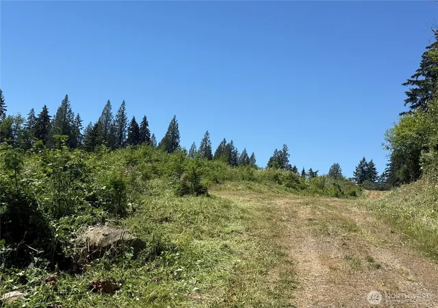 Photo 4 of Land for sale at 0 114th Avenue Ct E, Eatonville, WA 98328 | MLS# NWM2539899 | Listing updated on 2026-09-22