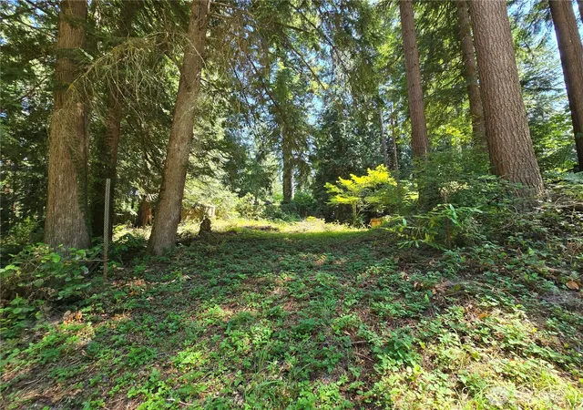 Photo 1 of Land for sale at 27703 Ne 35th Street, Redmond, WA 98053 | MLS# NWM2539942 | Listing updated on 2026-09-22