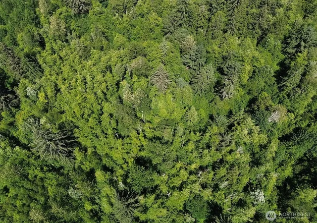 Photo 3 of Land for sale at 0 Wildrose Ln, Burlington, WA 98233 | MLS# NWM2540047 | Listing updated on 2026-09-22