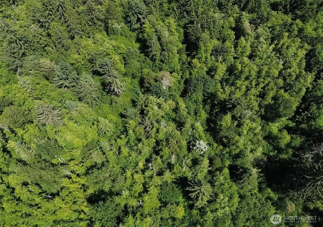 Photo 3 of Land for sale at 0 Wildrose Ln, Burlington, WA 98233 | MLS# NWM2540047 | Listing updated on 2026-09-22