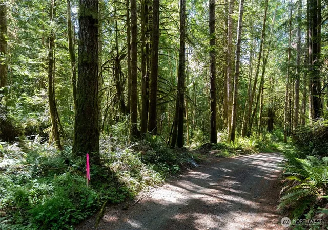 Photo 1 of Land for sale at 1781 E Sunset Hl Rd, Shelton, WA 98584 | MLS# NWM2540063 | Listing updated on 2026-09-22