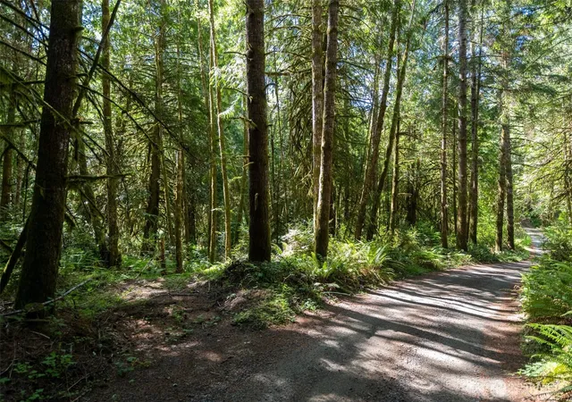 Photo 2 of Land for sale at 1781 E Sunset Hl Rd, Shelton, WA 98584 | MLS# NWM2540063 | Listing updated on 2026-09-22