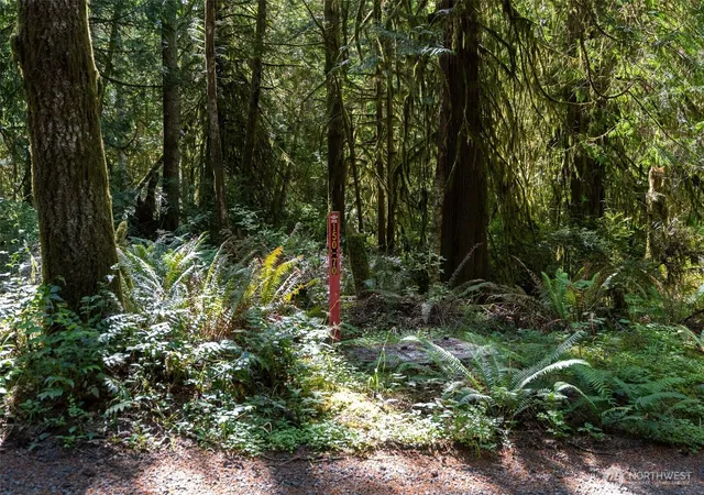 Photo 3 of Land for sale at 1781 E Sunset Hl Rd, Shelton, WA 98584 | MLS# NWM2540063 | Listing updated on 2026-09-22