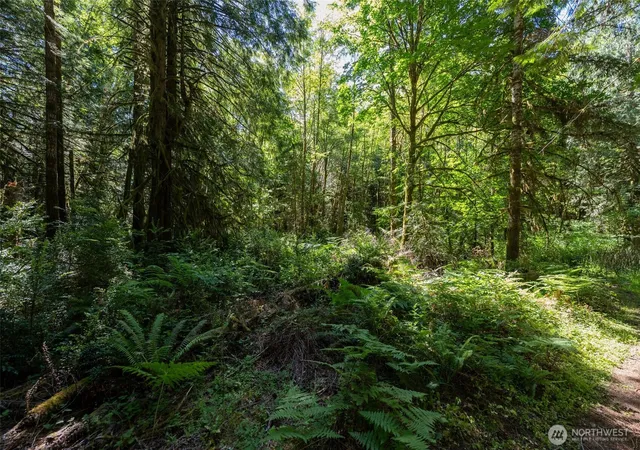 Photo 3 of Land for sale at 1781 E Sunset Hl Rd, Shelton, WA 98584 | MLS# NWM2540063 | Listing updated on 2026-09-22