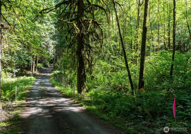 Photo 4 of Land for sale at 1781 E Sunset Hl Rd, Shelton, WA 98584 | MLS# NWM2540063 | Listing updated on 2026-09-22