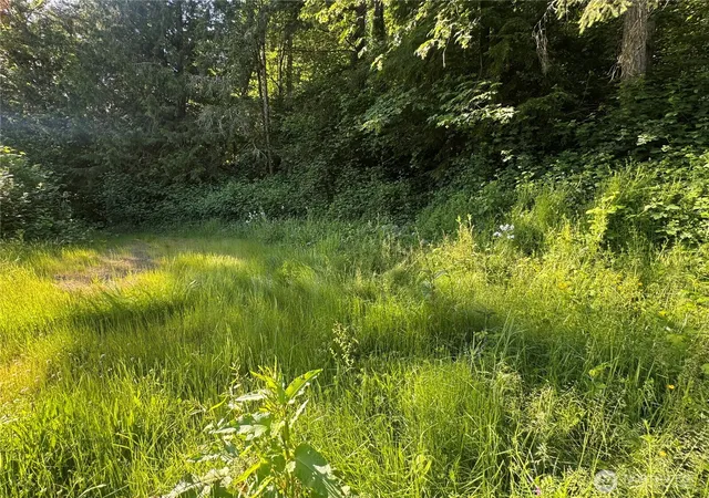 Photo 3 of Land for sale at 22728 Upper Dorre Don Way SE, Maple Valley, WA 98038 | MLS# NWM2540080 | Listing updated on 2026-09-22