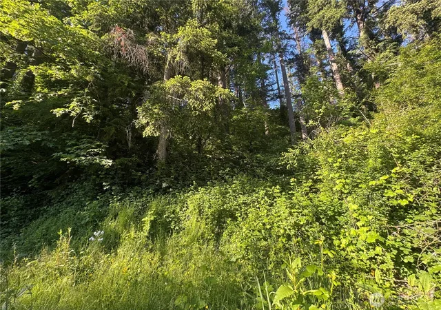 Photo 4 of Land for sale at 22728 Upper Dorre Don Way SE, Maple Valley, WA 98038 | MLS# NWM2540080 | Listing updated on 2026-09-22