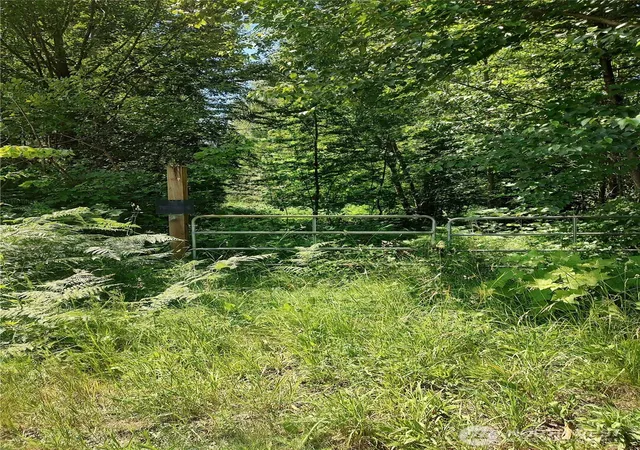 Land for sale at 0 Custer School Rd, Custer, WA 98240 | MLS# NWM2540089
