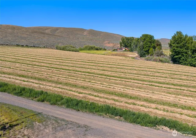 Photo 3 of Land for sale at 1 Borland, Ellensburg, WA 98926 | MLS# NWM2540255 | Listing updated on 2026-09-22