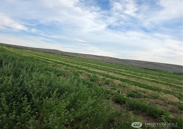 Photo 1 of Land for sale at 2 Borland, Ellensburg, WA 98926 | MLS# NWM2540267 | Listing updated on 2026-09-22