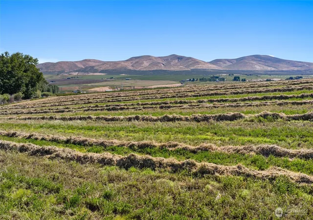 Photo 3 of Land for sale at 2 Borland, Ellensburg, WA 98926 | MLS# NWM2540267 | Listing updated on 2026-09-22