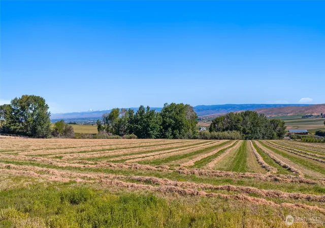 Photo 3 of Land for sale at 3 Borland, Ellensburg, WA 98926 | MLS# NWM2540269 | Listing updated on 2026-09-22