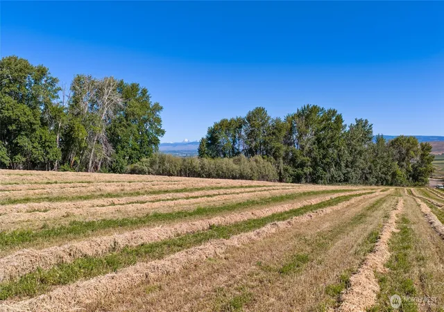 Photo 4 of Land for sale at 3 Borland, Ellensburg, WA 98926 | MLS# NWM2540269 | Listing updated on 2026-09-22